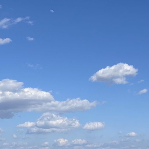 ミネルヴァ⭐️エイジングサインでてからじゃ遅いよ！😠インナーケアは超大事！｜ヒアルロン酸＆プラセンタ｜